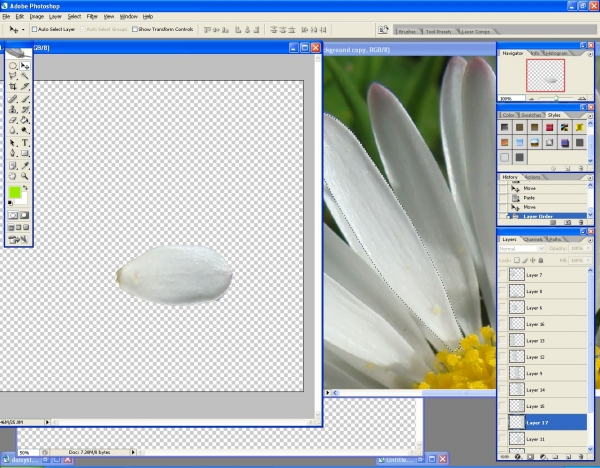 Creation of Daisy Fish: Step 1